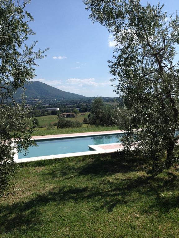 La Casa Nell'Oliveto Bed & Breakfast Acquasparta Exterior foto